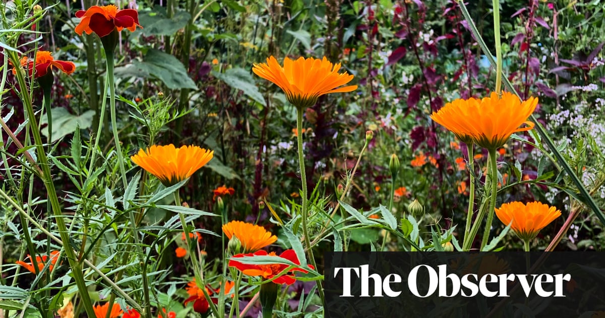 Warmer days bring the promise of growth – The Guardian Warmer days bring the promise of growth – The Guardian