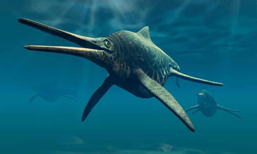 Choniserus is another member of the Ichthyosaur tribe of the Triassic period