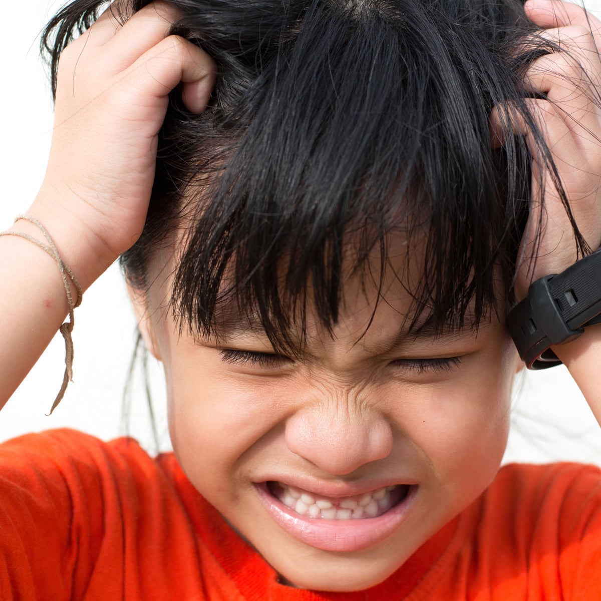 Itchy And Scratchy Why The Battle Against Head Lice Just Got Serious Health Wellbeing The Guardian Itchy And Scratchy Why The Battle Against Head Lice Just Got Serious Health Wellbeing The Guardian