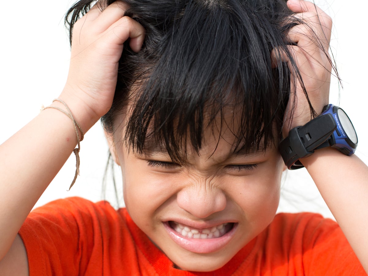 Itchy and scratchy – why the battle against head lice just got serious | Health & wellbeing | The Guardian Itchy and scratchy – why the battle against head lice just got serious | Health & wellbeing | The Guardian