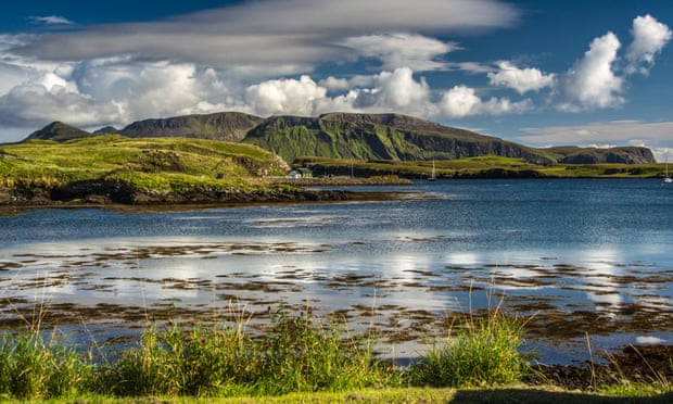 POLL: Should the salmon-farming industry be allowed to slaughter seals?