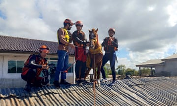 Four people in uniform stand next to horse on a roof