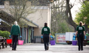 Three keepers at London zoo