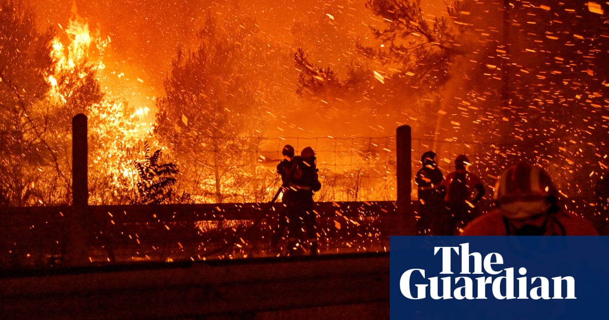 Heat records broken all around the world in 2021, says climatologist