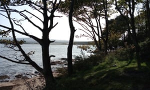 Ravensheugh Sands through the woods