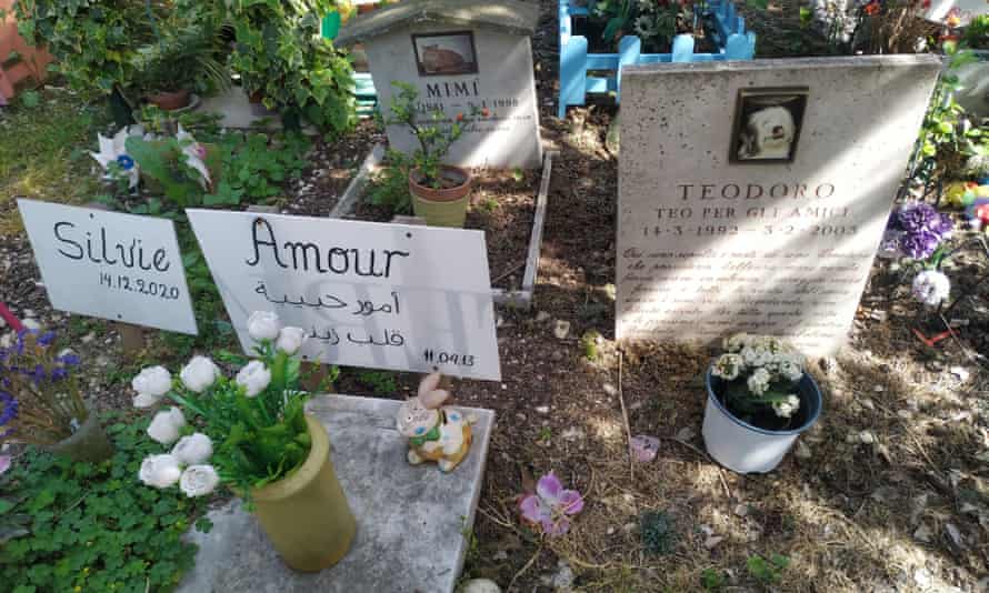 Casa Rosa pet cemetery in Rome