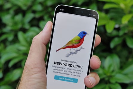 Hansen’s illustration of the Painted Bunting appears in Flock, a birding app conceived and created by Hansen’s friends, Adam Donkin and Bob Stevenson.