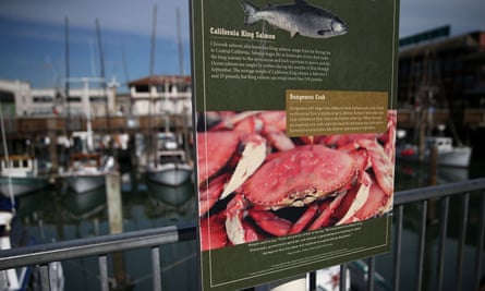 Harmful algae blooms off the Pacific Coast made certain shellfish unsafe for human consumption.