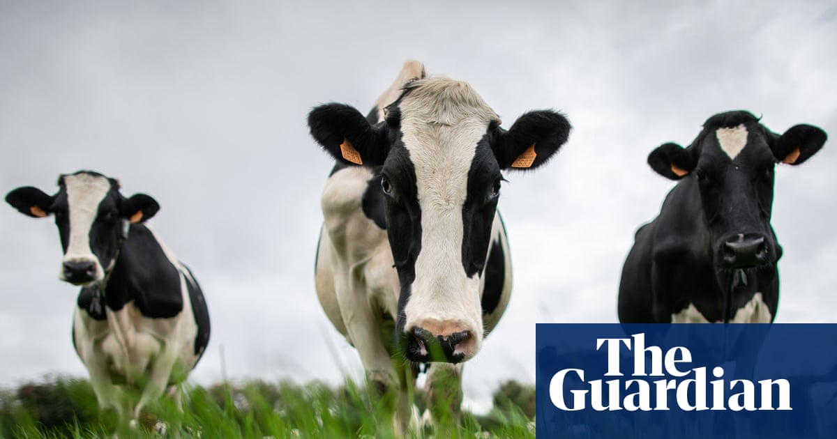 China hits EU dairy industry with tariffs of up to 42.7%