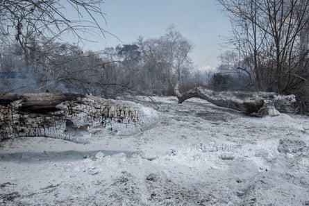 الحطام بعد حريق الغابات في وادي توكاباكا.