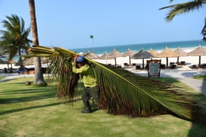 A worker carries coconut tree branches at a resort in Nha Trang, where 400 South Korean and Japanese tourists have just arrived.