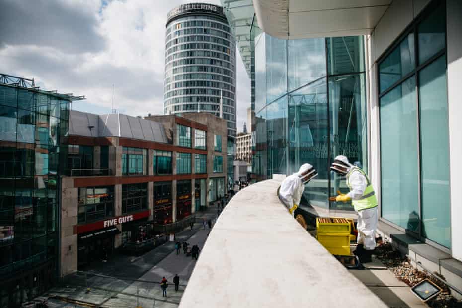 Tim Vivian with Abigail Redmond, a representative of the Bullring Birmingham, inspect bees