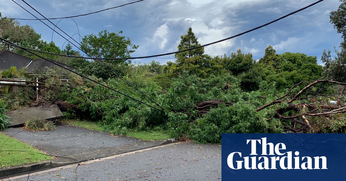 One woman has died and two are critically injured after a tree fell during Sydney storm | New South Wales | The Guardian