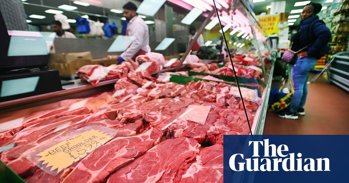 Weight-loss techniques can halve meat consumption, Oxford trial finds