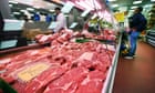Weight-loss techniques can halve meat consumption, Oxford trial finds