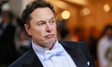 Elon Musk, owner of Twitter.