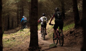 Young people cycling with family in a forest.