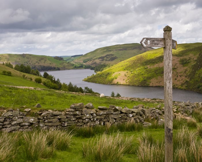 In the footsteps of Wales’s heroic rebel prince: hiking Glyndŵr’s Way