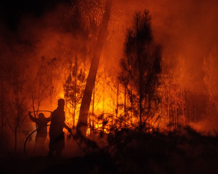 The week around the world in 20 pictures — image supplied by The Guardian US's feed