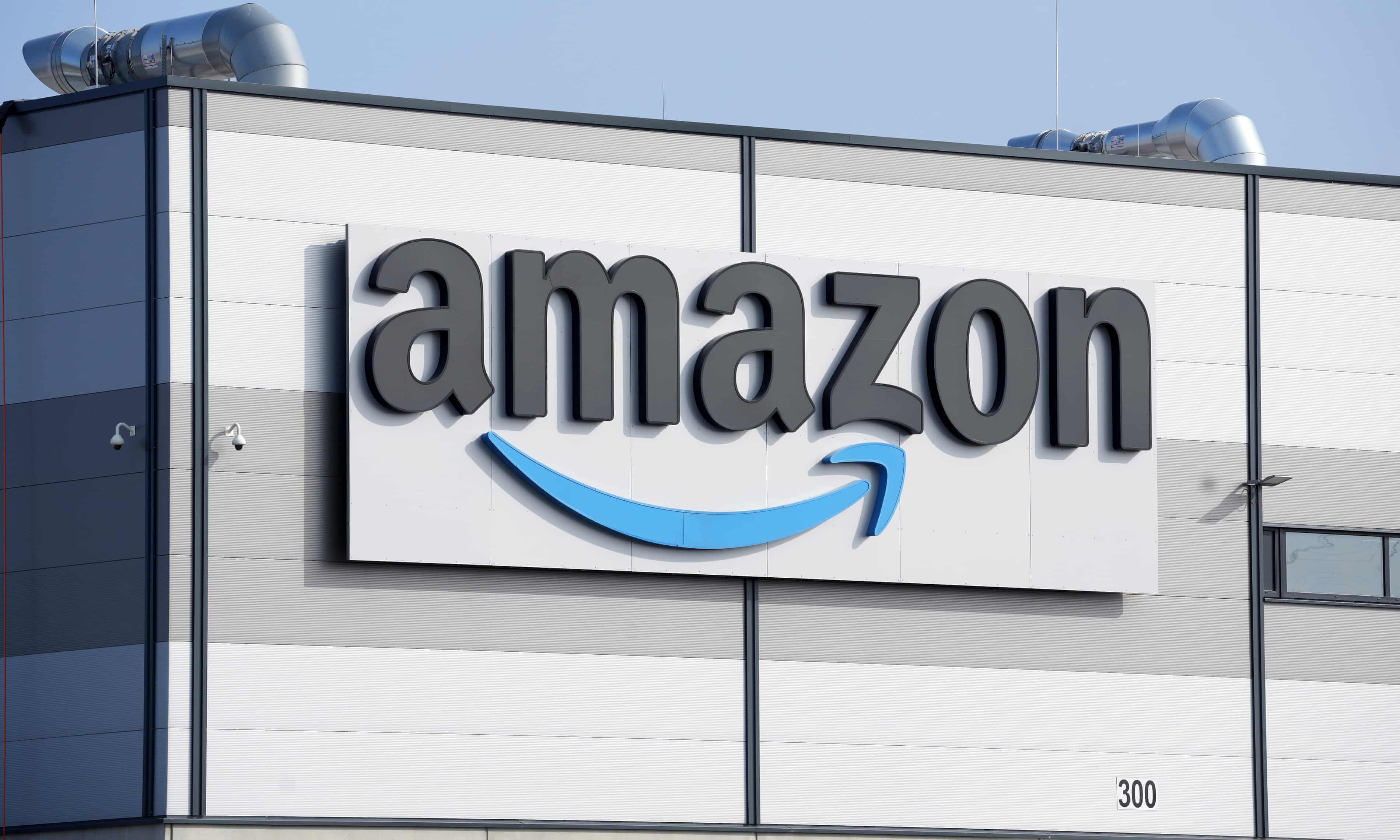 Amazon, Tesla and Meta among world’s top companies undermining democracy – report (theguardian.com)
