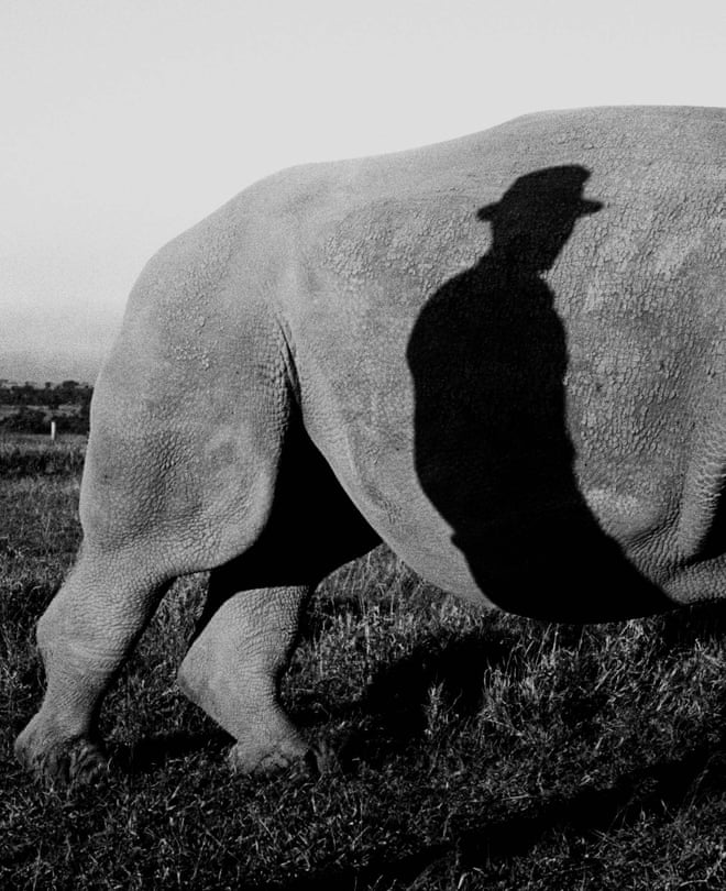 Davison turns his inimitable eye on the conservancy to capture the grace, power and pathos of Najin and Fatu, as well as focusing on the spiritual and physical connection between the rhinos and their keepers, who guard them with their life, using dogs, weapons, drones and surveillance