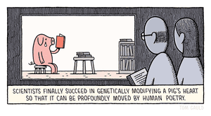 Tom Gauld on genetic engineering – cartoon | Books | The Guardian