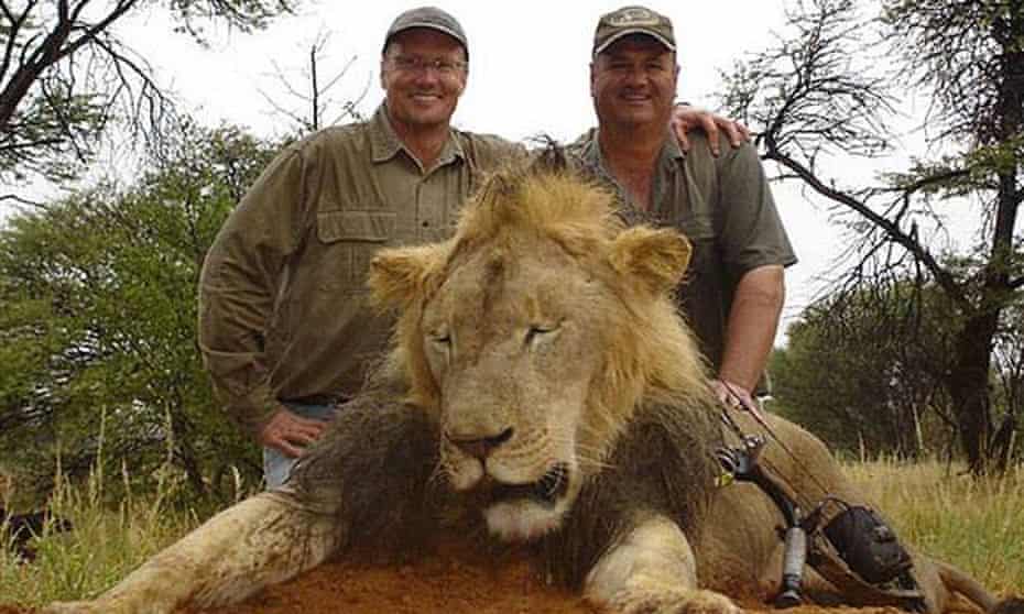 Walter Palmer posing with the body of an unidentified lion
