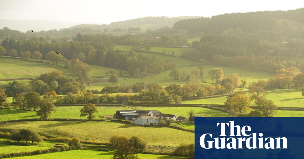 No timeline for lifting Land Registry paywall as ownership remains opaque