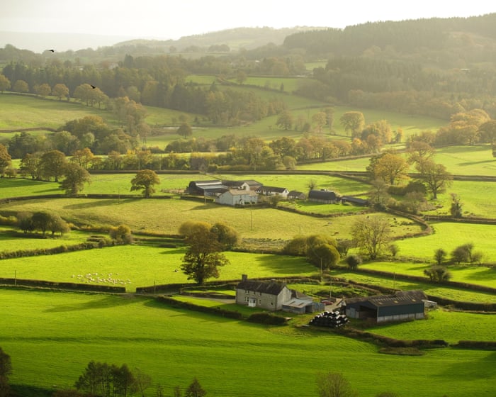 No timeline for lifting Land Registry paywall as ownership remains opaque