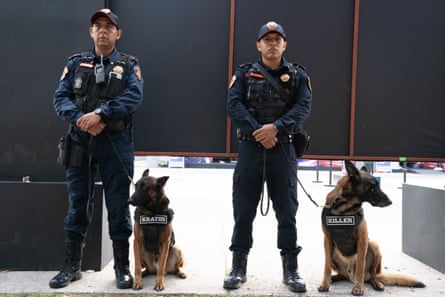 Over 4,300 police officers and security personal patrol the event and 7 dogs work from 7am to 5pm each day at the Mexican City Grand Prix.