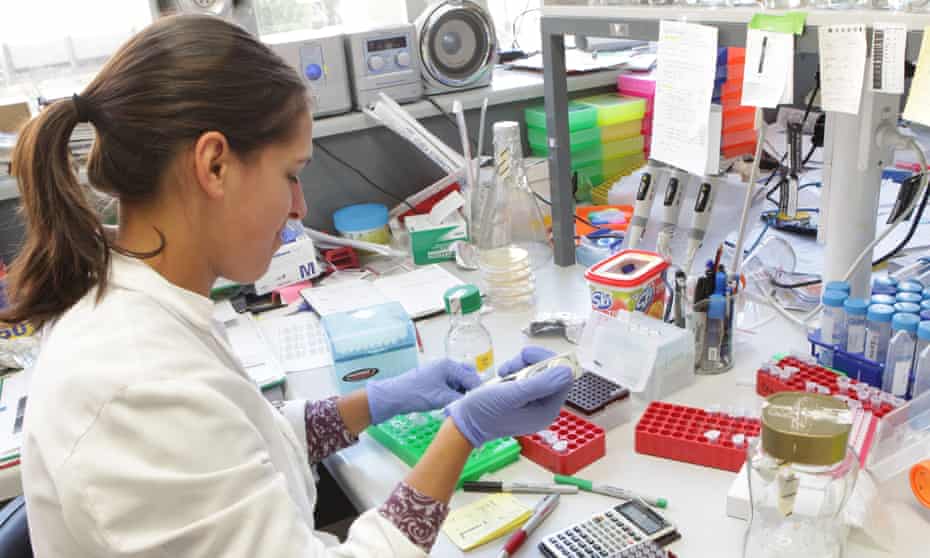 A scientist works in a medical lab at St Vincent’s Institute in Melbourne