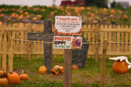 Signs point to Instagram-worthy opportunities at the Farmer Copleys festival.