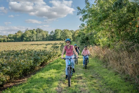 Participants in a White Heron ebike safari ride along a field of currant bushes towards the camera.