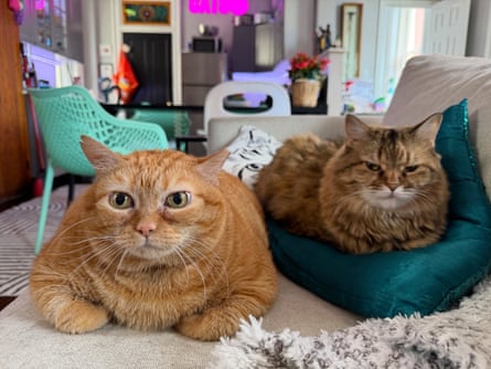 Pumpkin (left) with Dottie.