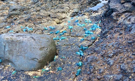 A thick black coating of tar on a beach with bits of bright blue nylon rope embedded in it