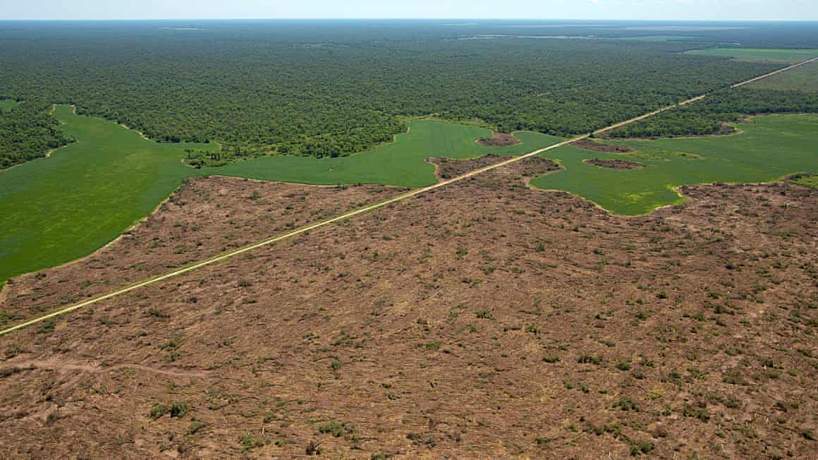 Aerial view of deforested landscape
