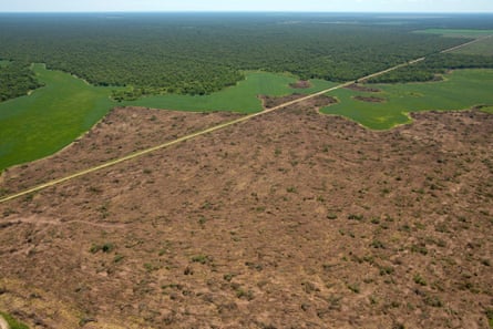 An aerial view of deforestation