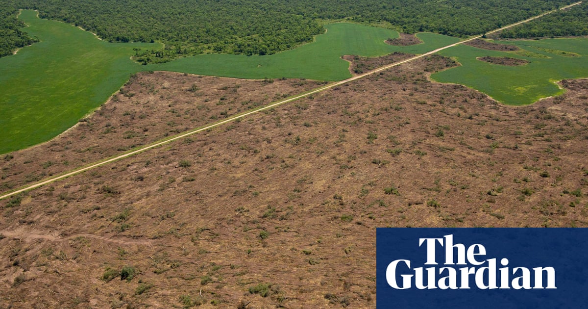 We are witnessing ecocide': Santander accused of funding vast deforestation