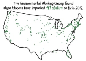 Reports of toxic algae blooms are up 22% compared to the same time last year.