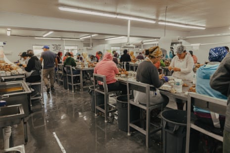 Employees at G.W. Hall Seafood in Hoopers Island, Maryland. There, the men catch, steam, and package crabs, while the women use tiny knives to pick the meat out of them.