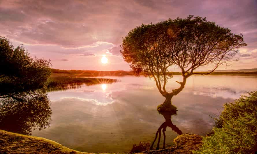 Kenfig Pool nature reserve, Bridgend , with reflected tree  at Sunset