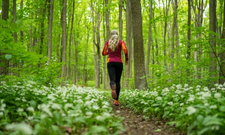Jogging Through Forest in SpringtimeBack View of Woman Running Alone in Woodland low perspective