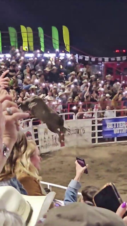 a bull leaps in the air in an arena as people hold up their phones