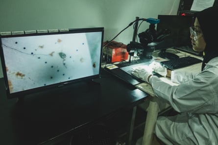 Lab technician Rafika Aprilianti, of the Indonesian environmental group Ecoton, identifies microplastics - long threads on the screen - in a sample of tofu taken from a market near Tropodo.