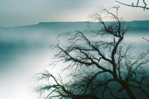 A mountain ridge, mist and trees