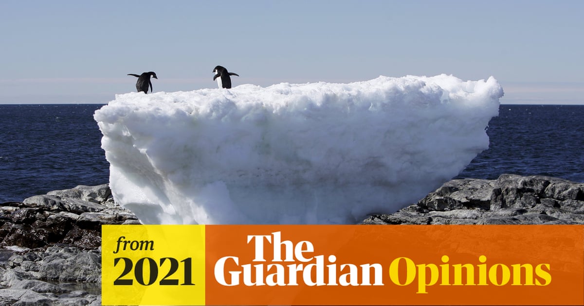 www.theguardian.com