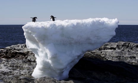 Two Adelie penguins standing atop a block of melting ice on a rocky shoreline at Cape Denison, Commonwealth Bay, in East Antarctica.