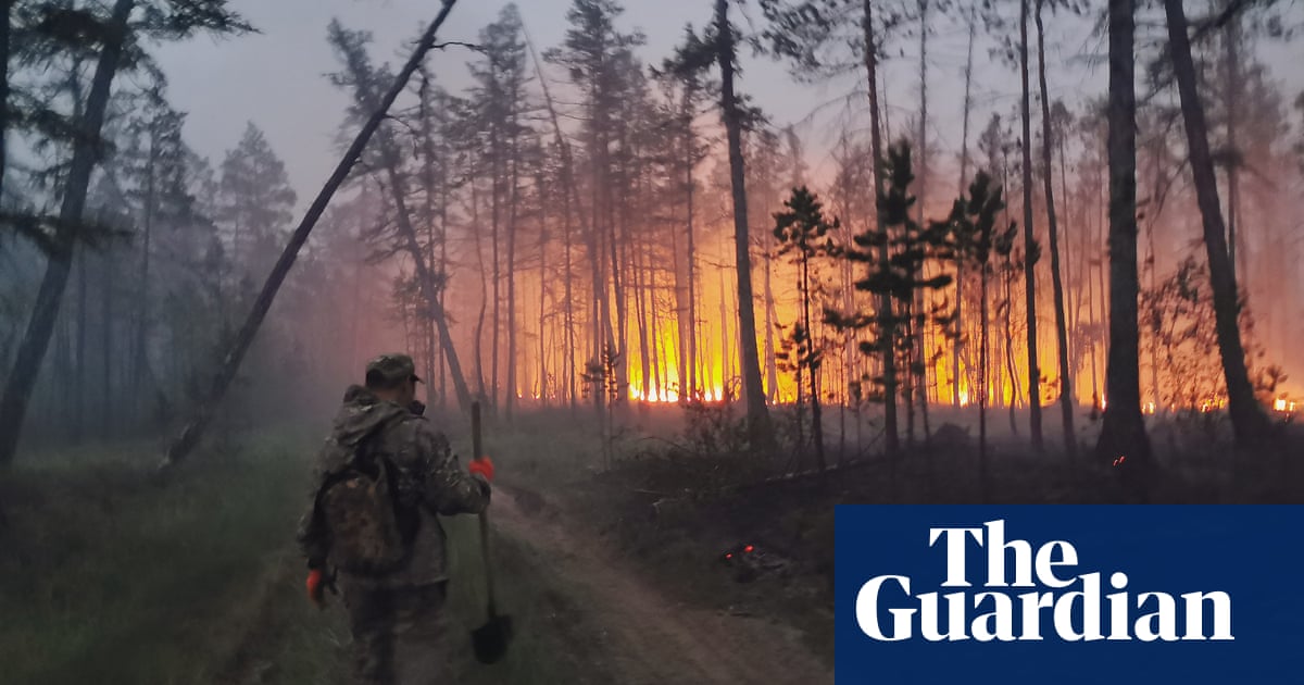 Every morning and evening for the last few days, shifts of young villagers have headed out into the taiga forest around Teryut with a seemingly imposs