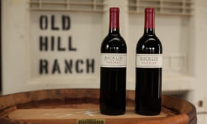 Dry-farmed vines at Old Hill Ranch in Sonoma Valley.