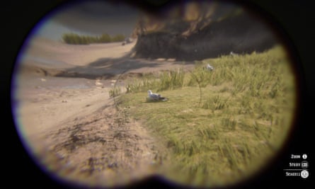 Herring Gull through Red Dead Redemption 2’s in-game binoculars